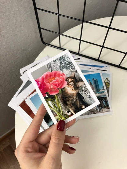 Photos  Polaroid